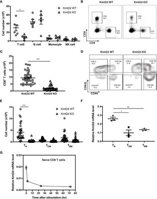 <mark class="highlighted">Lysine methyltransferase</mark> Kmt2d regulates naive CD8+ T cell activation-induced survival